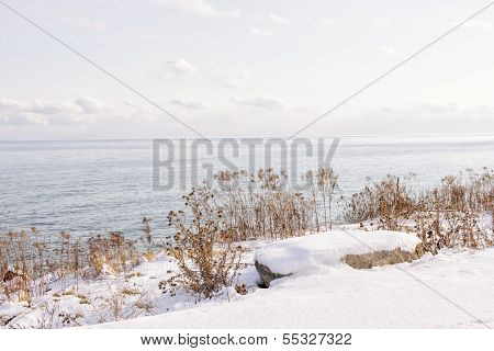 Winter Shore Of Lake Ontario
