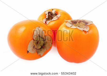 Persimmon Fruit
