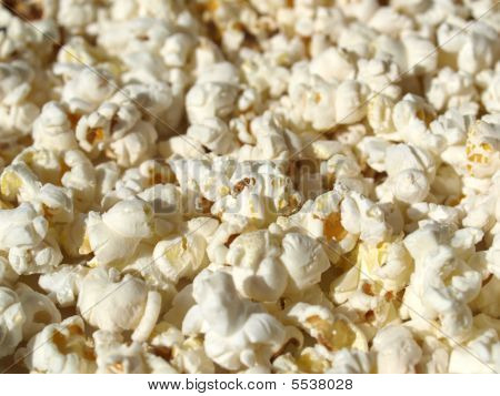 Pop Corn