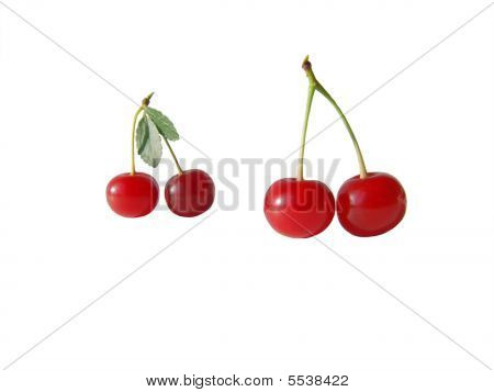 สองคู่ของเชอรี่สีแดง