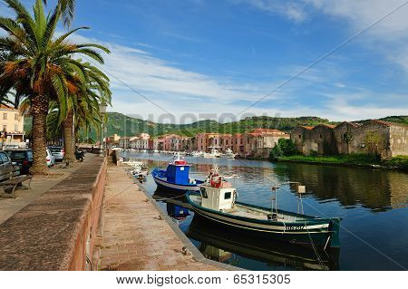 Bosa