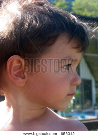 My Profile
