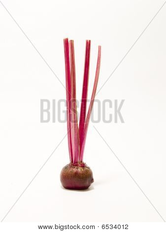 Beets
