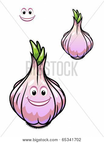 Sprouting fresh garlic bulb