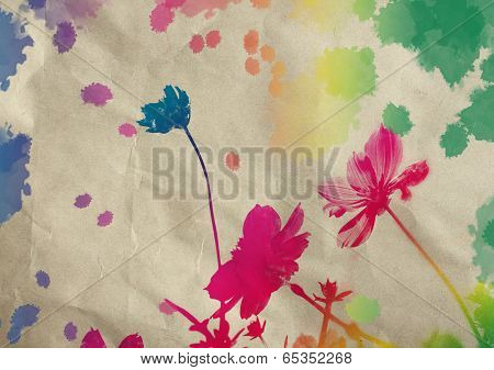 Cosmos Flower With Watercolor Splash On Grunge Paper Background