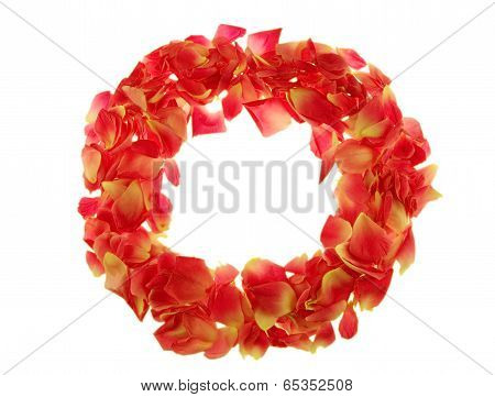 Rose Petals Frame On White Background