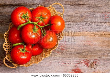 Basket Of Freshly Ripened And Cleaned Tomatoes
