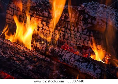 Wood Fire