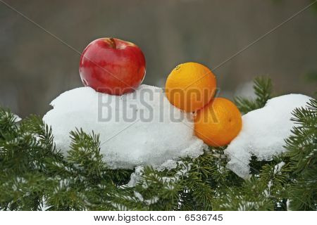 Frutas na neve