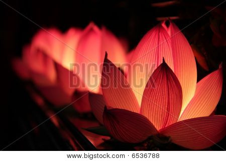 Lotus освещение