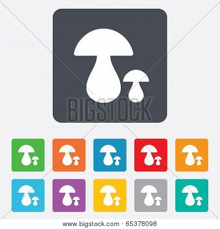 Mushroom sign icon. Boletus mushroom symbol.