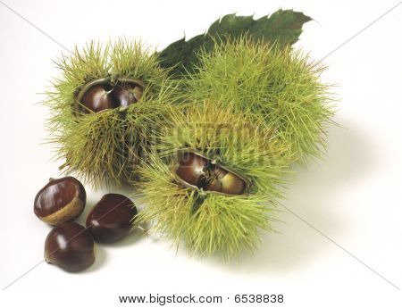 Chestnuts