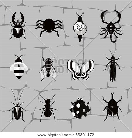 Insect world in black and white tones