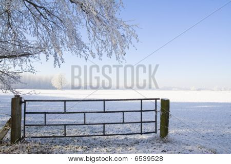Terres agricoles hiver