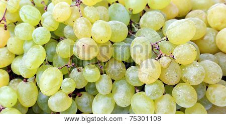 The Texture Of Grapes Berries