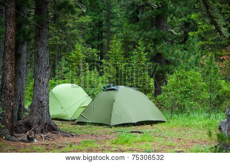 Greent Tourist Tents In Forest At Campsite