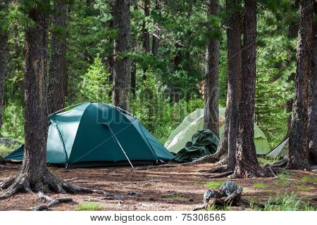 Greent Tourist Tents In Forest At Campsite