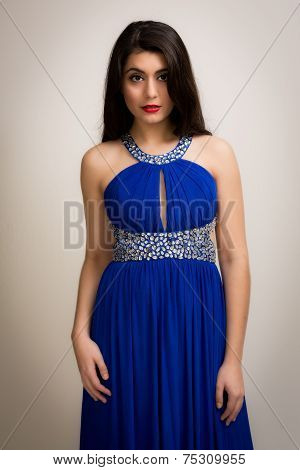 Portrait Of A Beautiful Young Brunette Woman In A Long Dress