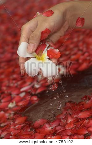 Hand mit Blume