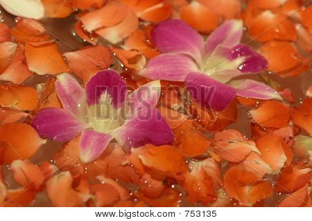 Blumen Bad