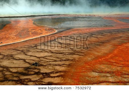 Yellowstone idzie Orange
