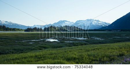 Alaskan Nature