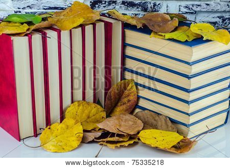 Book