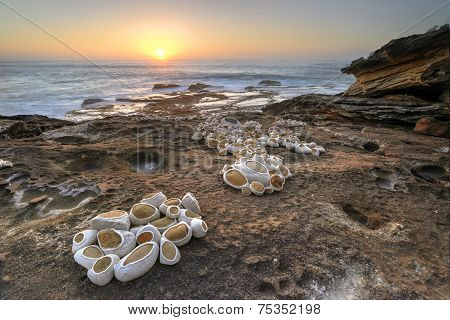 Sunrise On The Rocks