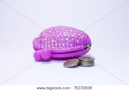 Pink Purse