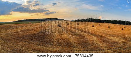 Straw bales