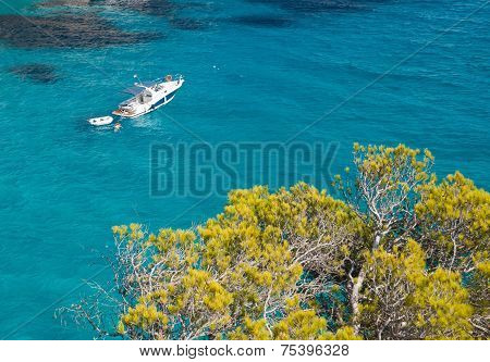 Yacht, Sea And Pine