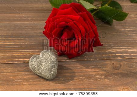 roses as a gift and surprise to a feast. symbol photo for birthday, mother's day, love, valentine's day