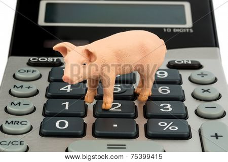 a pig and a calculator as a symbol photo for costs and income for a farmer in the landwirtschaft.ausgaben, revenue and accounts.