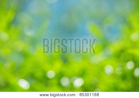 Natural background
