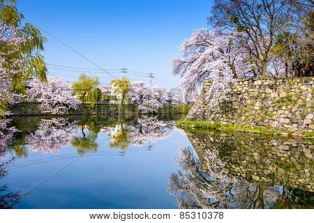 Hikone, Japan at the castle moat during spring season.