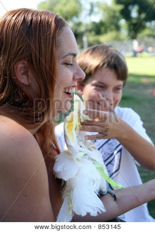นกกระตั้ว petting เด็ก