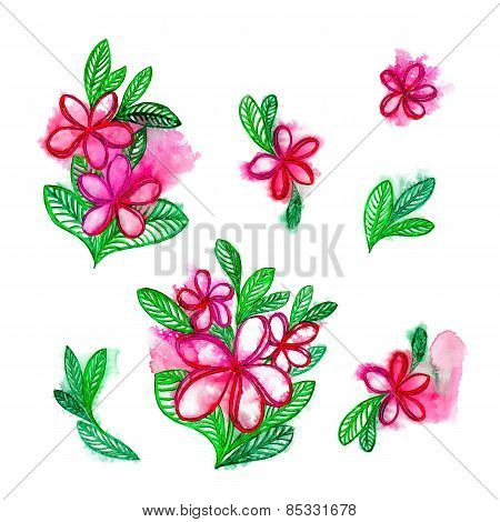 plumeria / frangipani flowers
