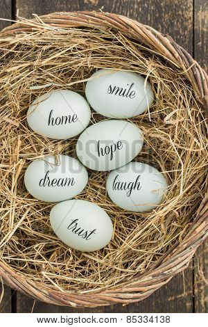 Eggs with messages