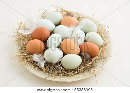 Eggs In A Nest