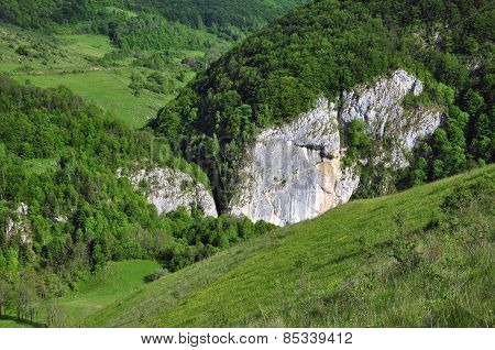 Green Vibrant Pasture With Limestone Rocks