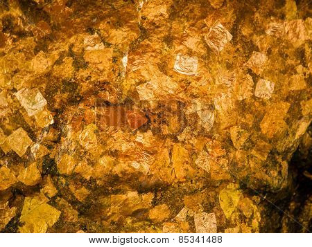 Gold leaves background texture