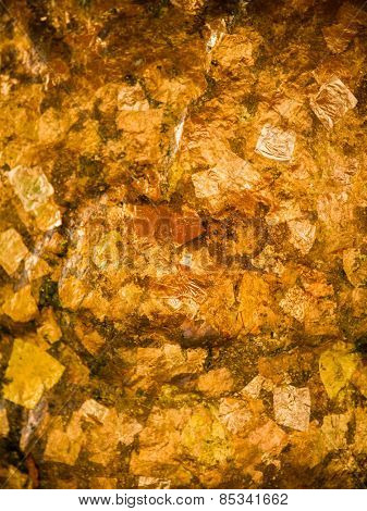 Gold leaves background texture