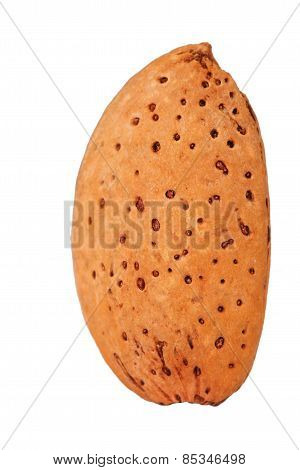 Almond Isolated On A White Background