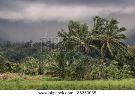 View Overlooking Hanalei On Kauai, Hawaii