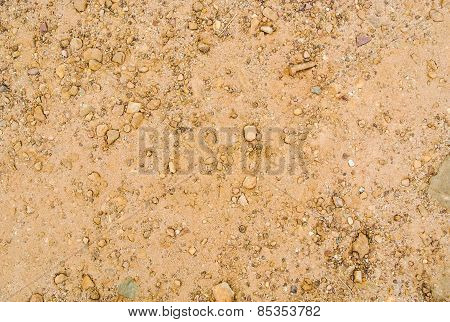 Brown Soil Detail Background.