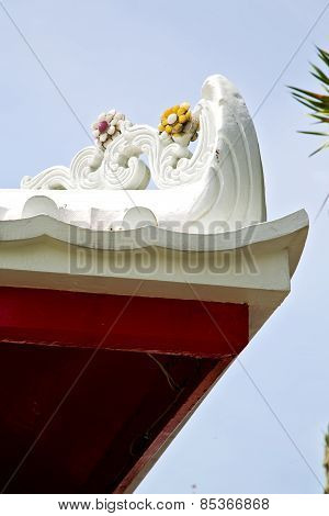 Asia  Thailand  In  Bangkok Sunny Flower