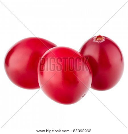 cranberry  isolated on white background cutout