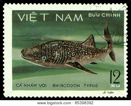 Vintage  Postage Stamp. Rhincodon Tipus.