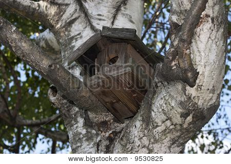 Vogelhaus