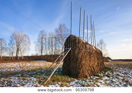 Hayrick On Meadow